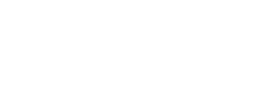 Animation réseau